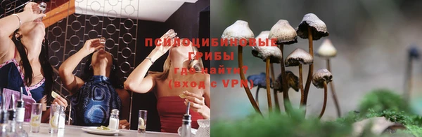 тгк Каменск-Шахтинский