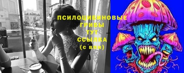 героин Каменка