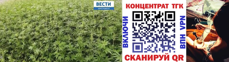 Купить закладки  Данилов  ТГК THC oil 