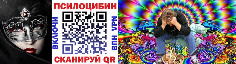 Купить где  Данилов  Галлюциногенные грибы мухоморы 